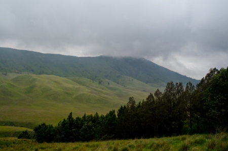 grassland at Mount Bromo, Java, Indonesiaの写真素材