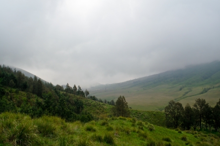 grassland at Mount Bromo, Java, Indonesiaの写真素材