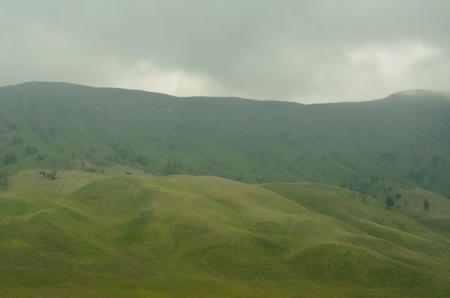 grassland at Mount Bromo, Java, Indonesiaの写真素材