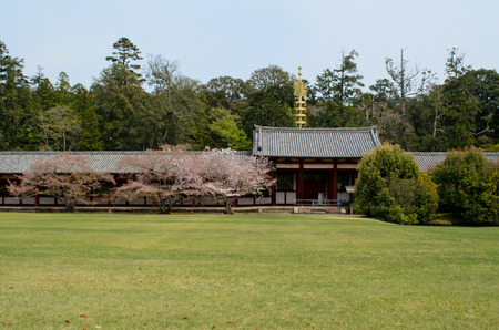 Todai ji temple, Naraのeditorial素材