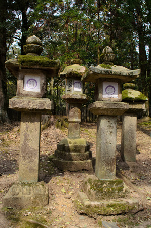 Stone lanterns in Naraのeditorial素材