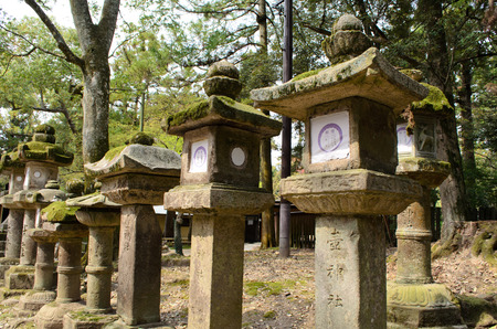 Stone lanterns in Naraのeditorial素材