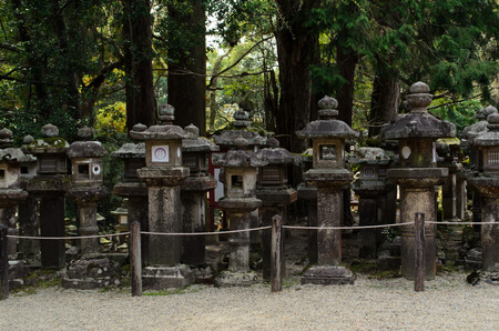 stone lanterns in Naraのeditorial素材