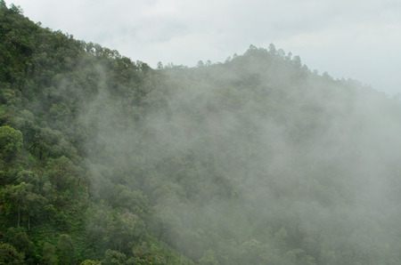 mountain in the fogの写真素材