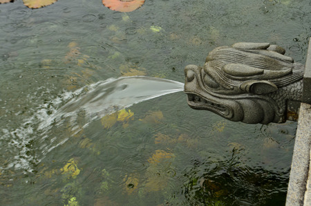 Chi Lin templeの写真素材