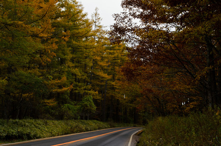 road in Nikko in Autumnの写真素材