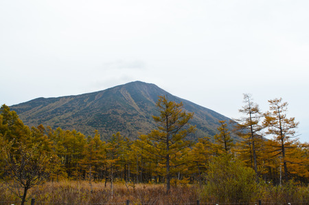 Nikko in Autumnの写真素材