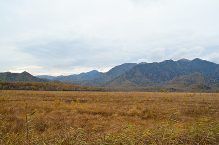 Nikko in Autumnの写真素材