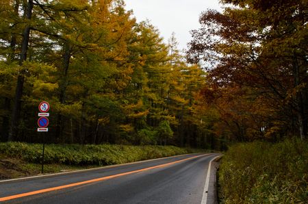 street in Nikko in autumnの写真素材
