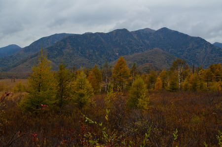Nikko in Autumnの写真素材