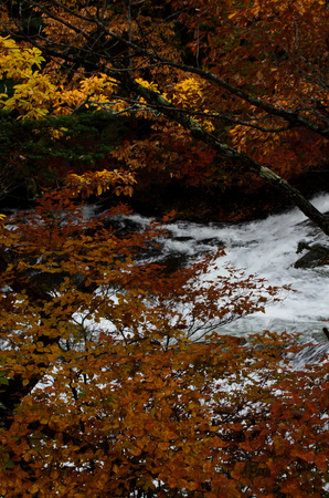 Ryuzu watefallの写真素材