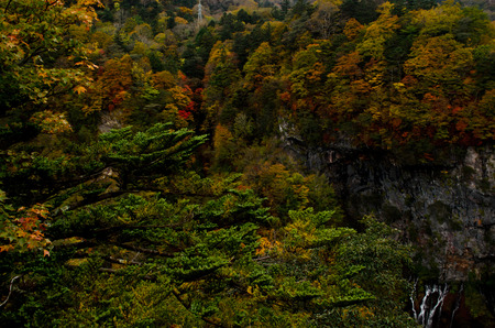 Nikko in fallの写真素材