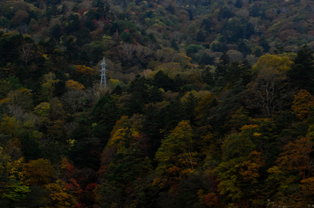 Nikko in autumnの写真素材