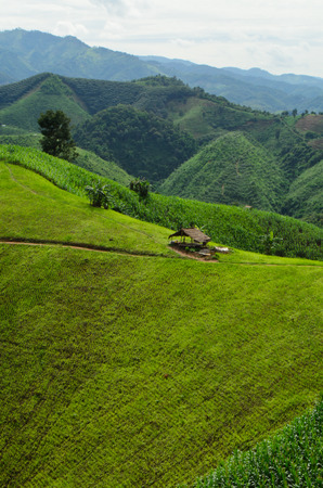 cottage on valleyの写真素材