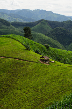 cottage on valleyの写真素材