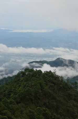 foggy hillの写真素材