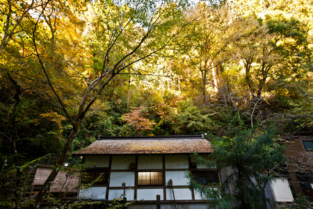 Rest house in the mountain side surrounded by treesのeditorial素材