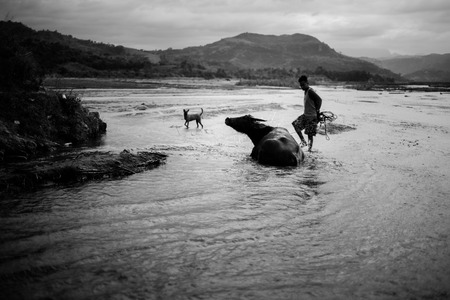 Cooling off the Kalabawの写真素材