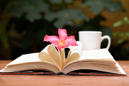 Open book  with heart shape page.の写真素材