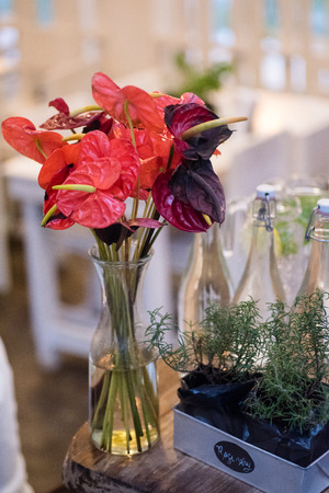 Anthurium and rosematy on the tableの写真素材