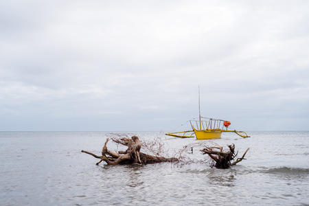 Yellow boat anchored at the shoreの写真素材