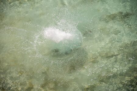Taking a plunge at the white sand in the clear blue water.