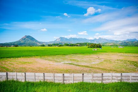 Vast valley of Zambales in the Philippines with its mountains in the bakground .の写真素材