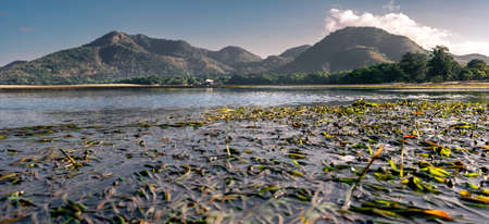 Beautiful seascape at the beach of Lian, Batangas.の写真素材