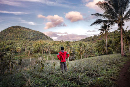 Planning to hike that mountain at Calauan, Laguna, Philippines.の写真素材