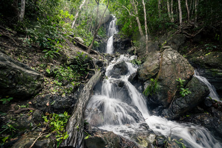 A stunning Diguisit Falls in Aurora cascading down moss-covered rocks in a lush, green forest. The surrounding vegetation and rugged terrain enhance the natural beauty of this peaceful and refreshing wilderness scene.の写真素材