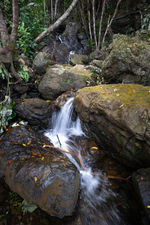 A stunning Diguisit Falls in Aurora cascading down moss-covered rocks in a lush, green forest. The...