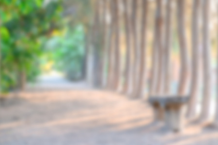 Blurred Chair in the park, natural backgroundの写真素材