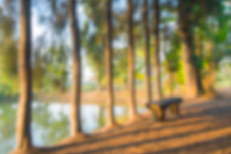 Blurred Chair in the park, natural backgroundの写真素材