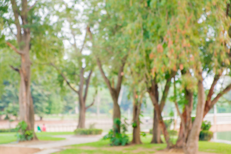 Blurred young couple sitting in the park Backgroundの写真素材