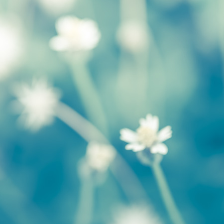 Abstract vintage tone beautiful flower Grass blowing in the wind motion blur for background or wallpaperの写真素材