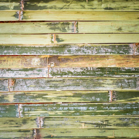 background of green bamboo fence  with squares.の写真素材