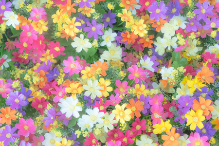 Abstract beautiful flowers made with color filters  for background