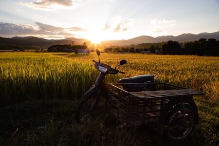 Vintage scooter and sidecar on rice field with back-lighting and copy spaceの写真素材