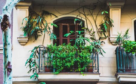 Retro balcony with plants on mediterranean facade and architecture (Barcelona)の写真素材