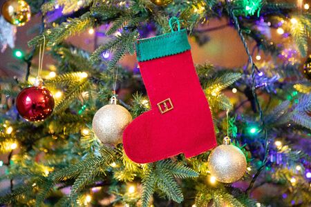Red and green sock on christmas tree closeupの写真素材