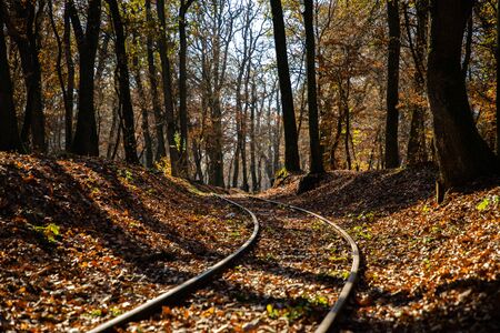 Autumn scene with a train track and a forest in the backgroundの写真素材