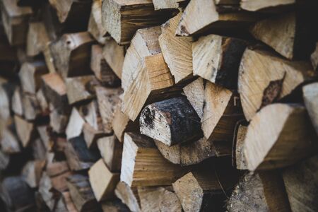 Fire wooden logs front view
