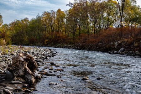 Mountain river with trees on one side and rocky beach