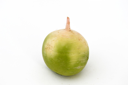 white radish picturesの写真素材