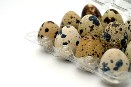 quail eggs with interesting patterns