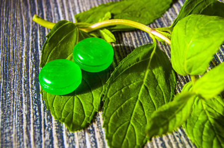 Mint sugar, tiny mint-flavored candies, mint-flavored sugar for cooling, minted sugar for nausea, green mint and mint-flavored sugar conceptsの写真素材
