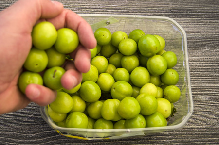 A handful of sour green plumsの写真素材