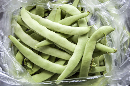 Fresh green beans in freshly picked pouch from marketの写真素材