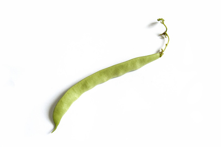 Green bean sample on white background, green bean picturesの写真素材