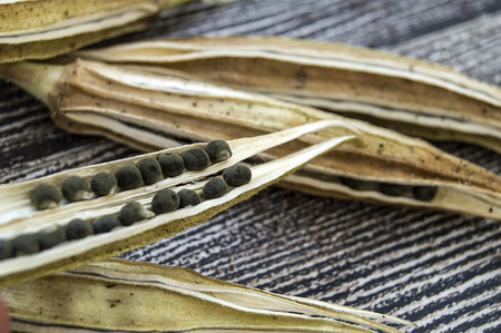 okra seeds close up on the wooden table.の写真素材